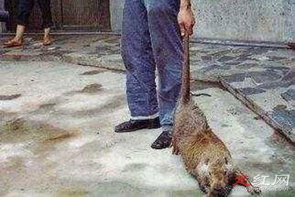 ����������30���������Ƶ������� 853ũ���ڷ��ֵ�