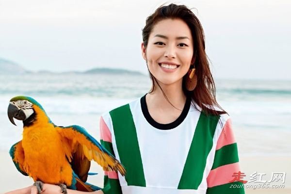 ����Ϊʲô����ά���� �����μ����Ľ�ά����