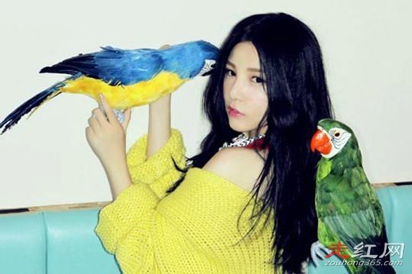 ������ô��ȥ�� ����ͯ�ɿɺ���֤����ʲô