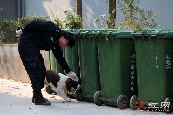 �ϴ���ʬ��Ϊʲô������ �����������ô����