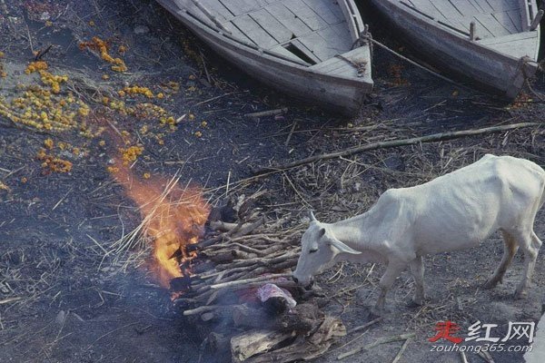 ���˵Ķ���Ϊʲô����ҪҪ�յ� ��������ô����