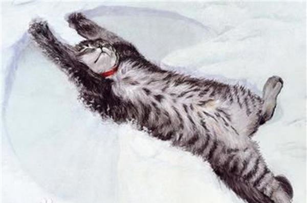 �����ĺ���èʲô��˼ �������ô����