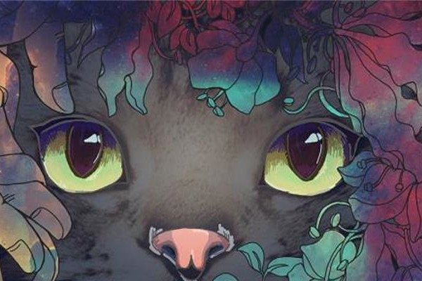 �����ĺ���èʲô��˼ �������ô����