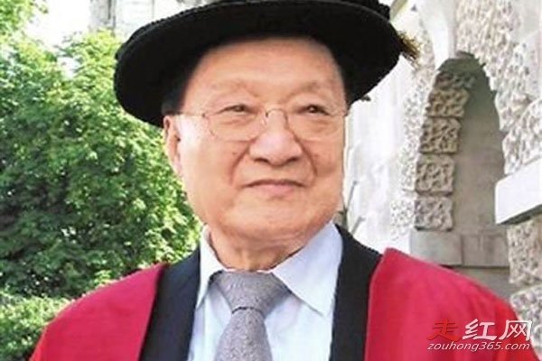 金庸的情感史 第二个妻子是谁