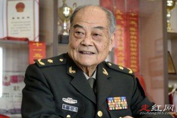 ����İ���Ϊʲô�Ʋ��� С����ֲ��˭��