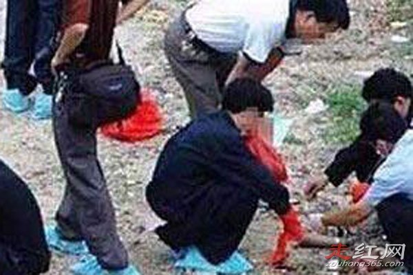 ����İ���Ϊʲô�Ʋ��� С����ֲ��˭��