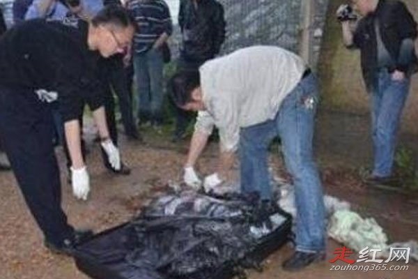 ����İ���Ϊʲô�Ʋ��� С����ֲ��˭��