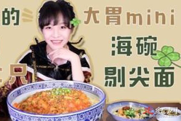 ��θ�����ܳԵ��������� Ϊʲô����mini