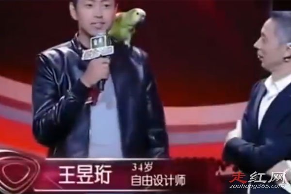 �������������������һ��,˭Ӯ�� ��������Ȼ����