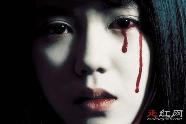 ��ʲô�ر�ֲ��Ĺ�Ƭ�Ƽ� Խ�ֲ�Խ��