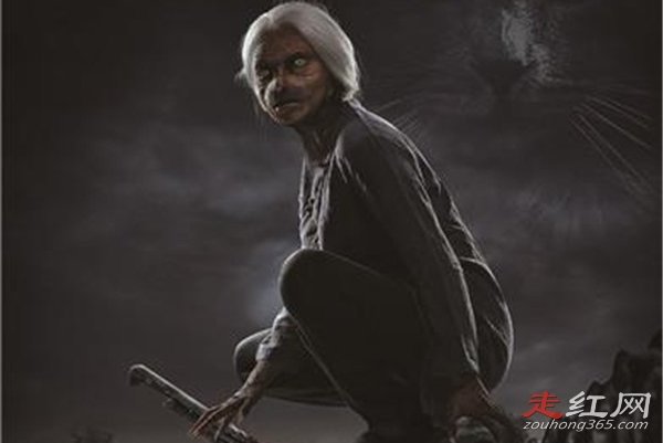 ��ʲô�ر�ֲ��Ĺ�Ƭ�Ƽ� Խ�ֲ�Խ��