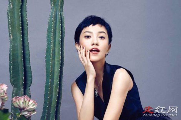 ������ʲô���� �͹��ɽ�ϳ��ĸ�����ʲô