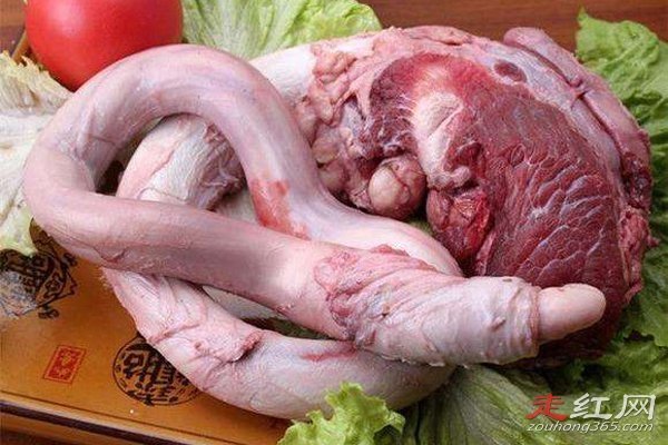 ţ��ϲ�ó����ܳ��� ��ţ��ʲô�����ĸ���λ