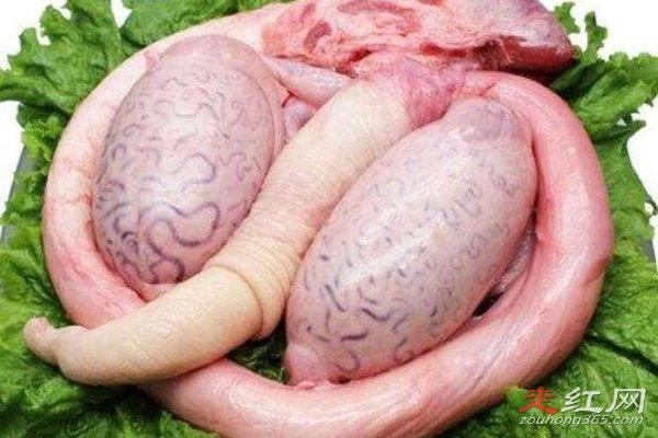 ţ��ϲ�ó����ܳ��� ��ţ��ʲô�����ĸ���λ