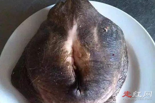 ţ��ϲ�ó����ܳ��� ��ţ��ʲô�����ĸ���λ