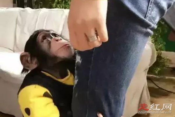 ���������������һ���� ���������Ա�����ǿ�ҵ�����