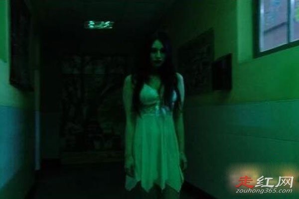 ������¥�¼���������ô���� �����侯��Ƶ�����