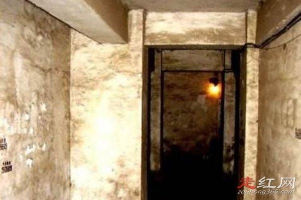 ������¥�¼���������ô���� �����侯��Ƶ�����