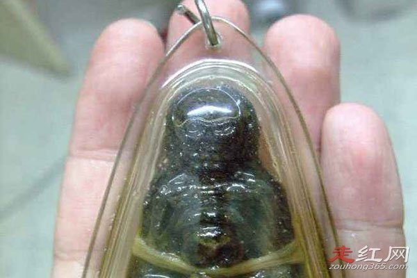 �����Ʒ��ɵ���ʵ���� �Ǻ���С��һ����а��