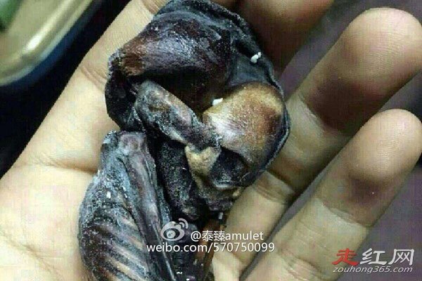 �����Ʒ��ɵ���ʵ���� �Ǻ���С��һ����а��