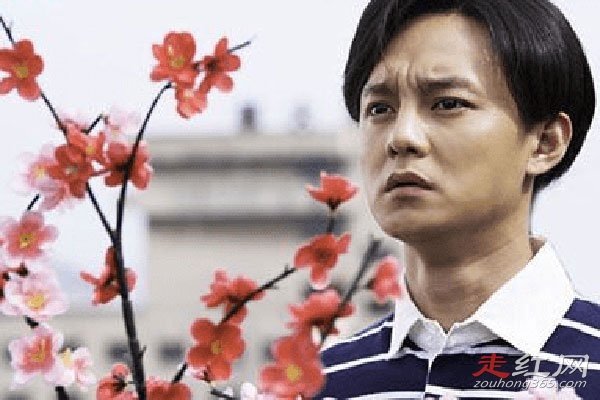 ������һ��÷��ʲô�� һ��÷2.0�������Ľ���