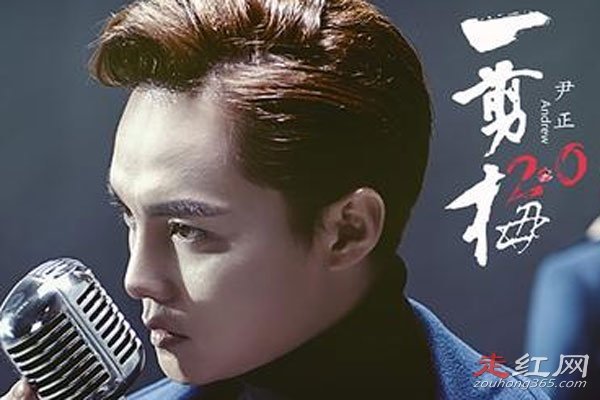 ������һ��÷��ʲô�� һ��÷2.0�������Ľ���