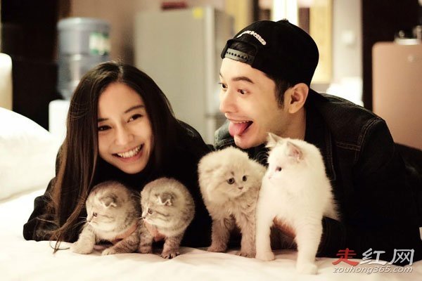 ��������²��¼���ʲô��˼ ���ٷ�����˵��ʲô