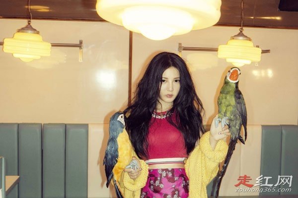 本兮个人资料简介发布死亡报告真的回来了吗