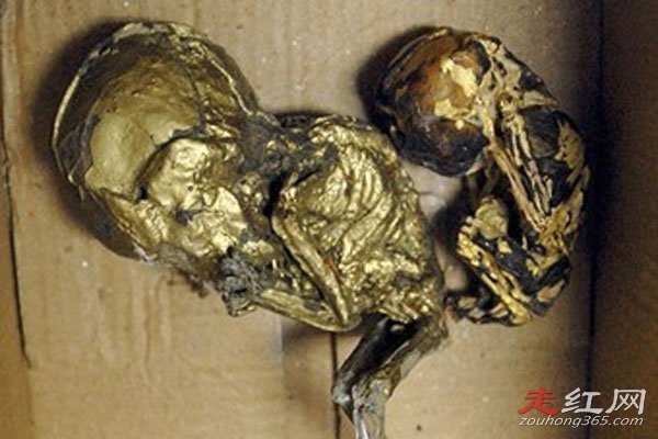 ������С����Ĵ����� �ܶ����ǵ�������С���й�ϵ��