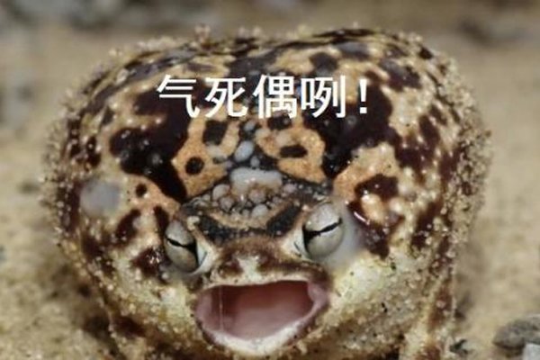 ɳĮ���ܿ������� ���Ľ�����ʲô���ӵ�