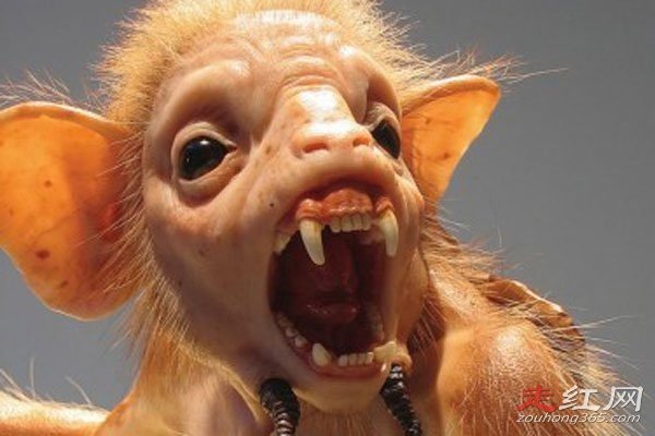 ��������������� �������������Ʒ