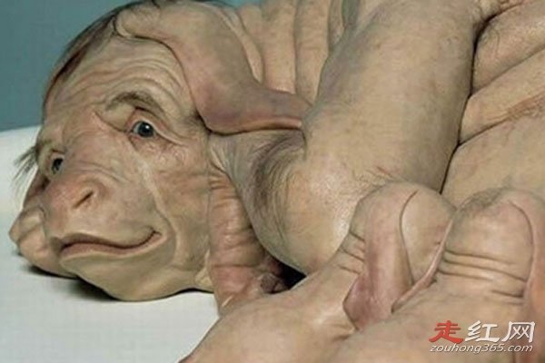 ��������������� �������������Ʒ