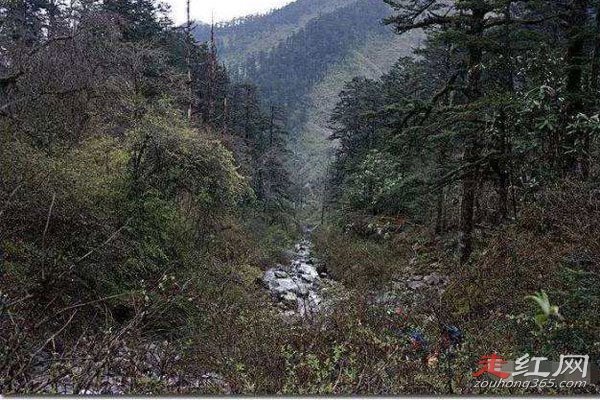 �Ĵ����񹵵������¼� ����δ��֮����ô����