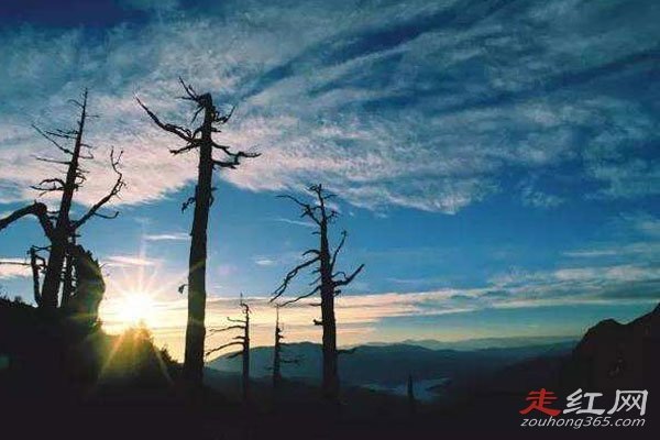 �Ĵ����񹵵������¼� ����δ��֮����ô����