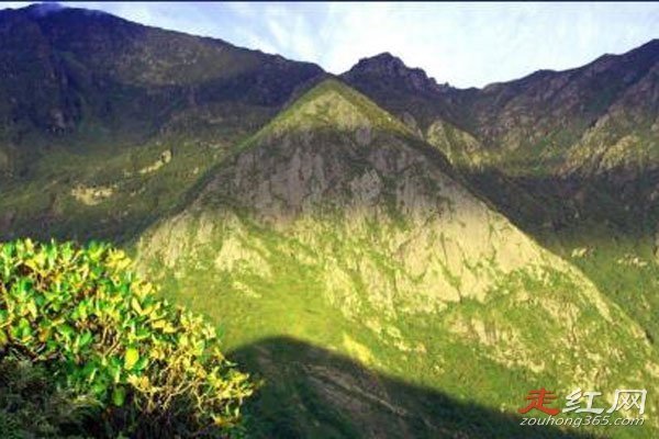 �Ĵ����񹵵������¼� ����δ��֮����ô����