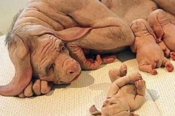 �����������˵�ͼƬ �����ӽ��ĺ����ҥ��