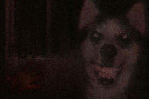 ΢Ц���ֲ��¼����˶����� �¼�ԭͼΪʲô����