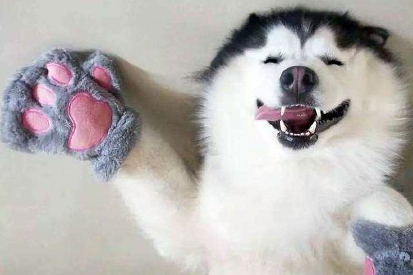 ΢Ц���ֲ��¼����˶����� �¼�ԭͼΪʲô����