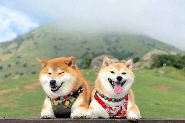 ΢Ц���ֲ��¼����˶����� �¼�ԭͼΪʲô����