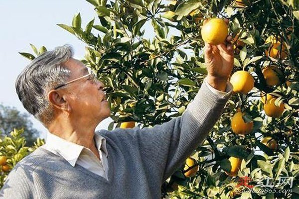 ��ʱ������ô��ȥ�� ����һ����������