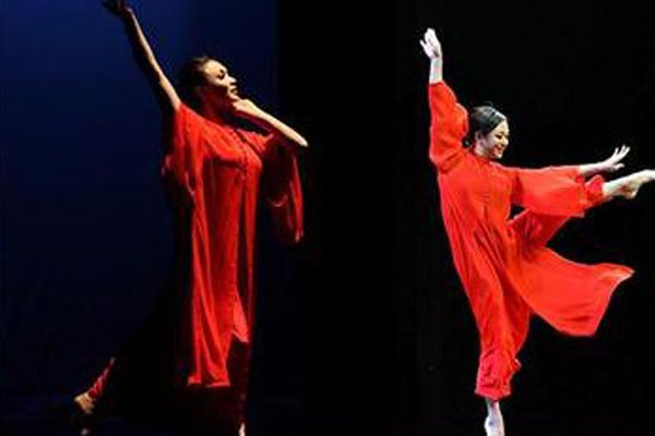 杨丽萍金星互怼的哪一期节目 舞蹈界谁厉害