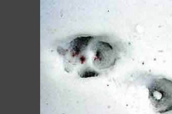 ���������¼�¼��������� �����ߵ���������