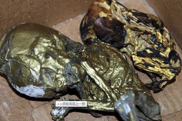 �ƽ�Ӥʬ�����¼� ��Ƶ��������Ӥ���Ŀ���