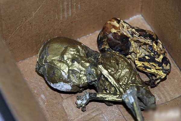 �ƽ�Ӥʬ�����¼� ��Ƶ��������Ӥ���Ŀ���