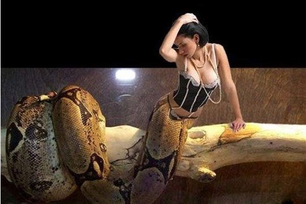����������������� ����������ͷ��������