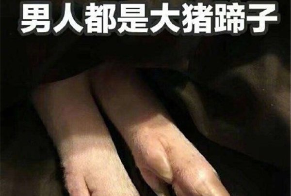 Ϊʲô�����˴������� �зǳ����еĽ���