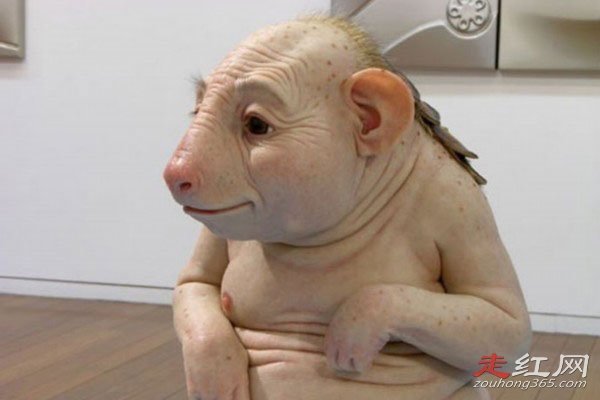 ����ĸ������8���к�������� �������˱���������