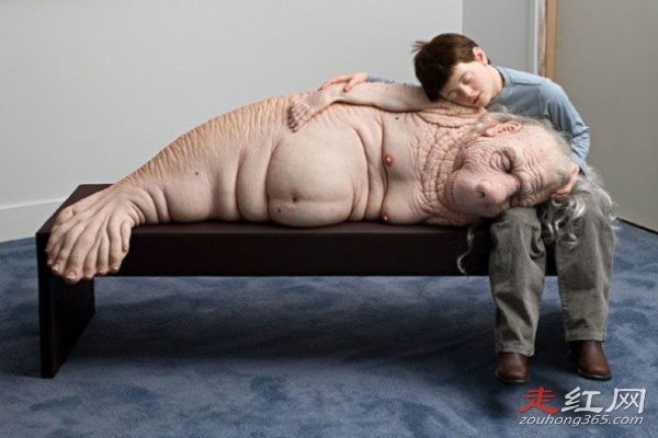 ����ĸ������8���к�������� �������˱���������