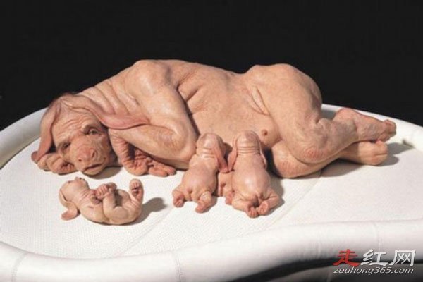 ����ĸ������8���к�������� �������˱���������