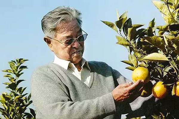 ��ʱ���Ĵ���������� ��Ϊʲô��ȥ��